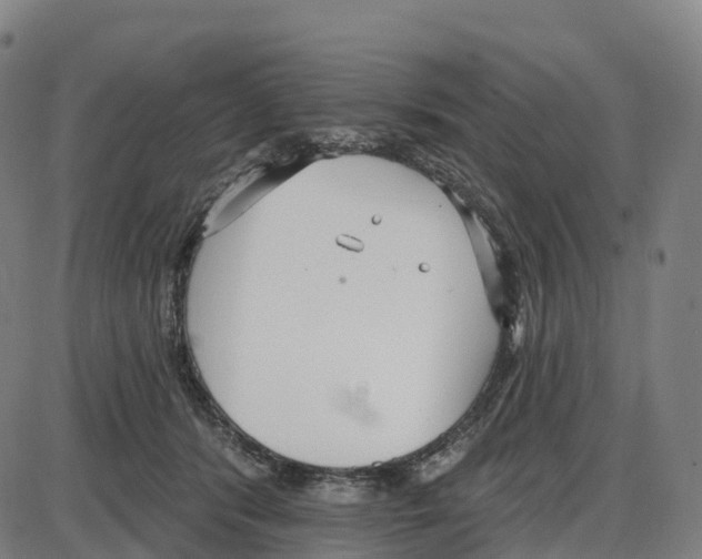 X0000083990416200703161628