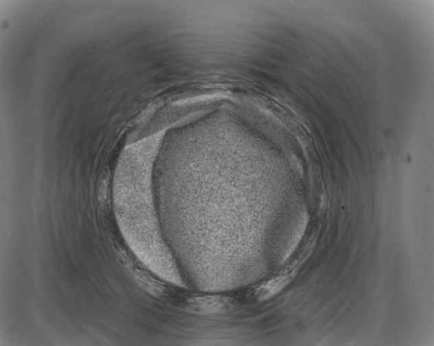 X0000083990417200703161628