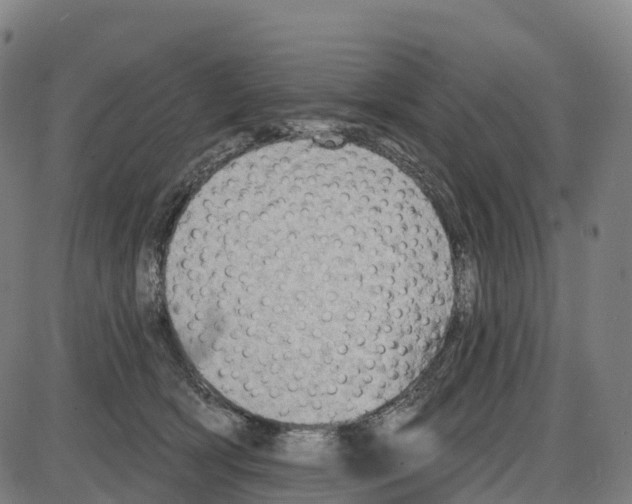 X0000083990418200703161628