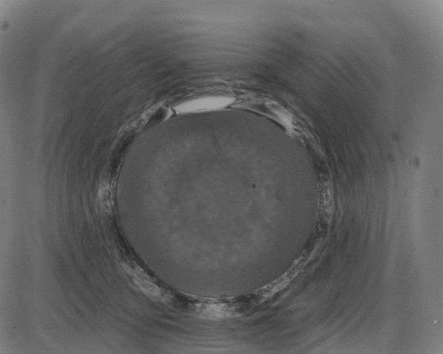 X0000083990419200703161628