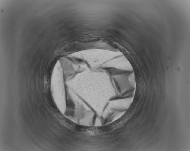 X0000083990420200703161628