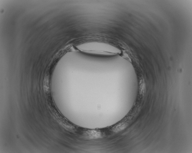 X0000083990421200703161628