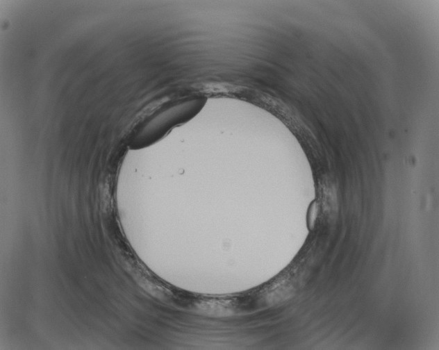 X0000083990422200703161628