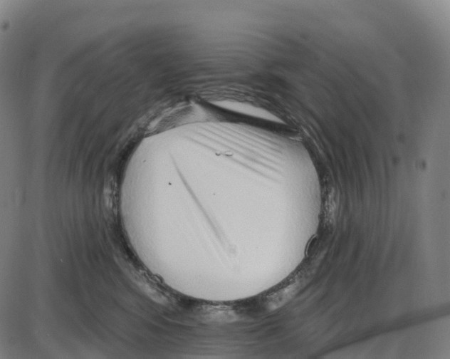 X0000083990424200703161628