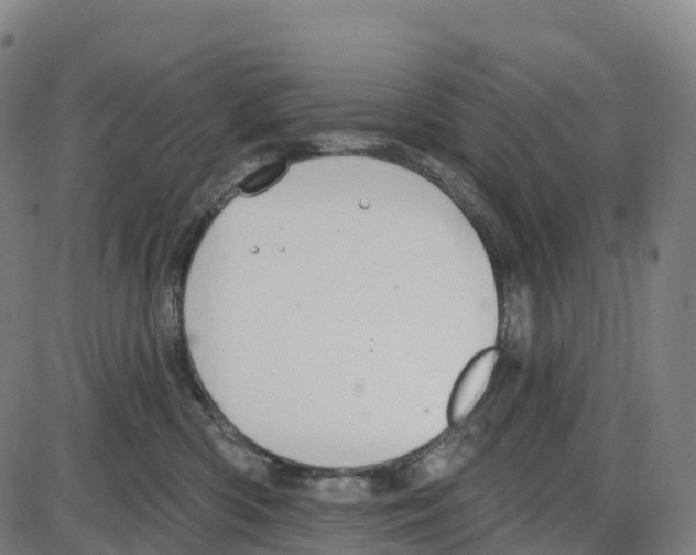 X0000083990426200703161627