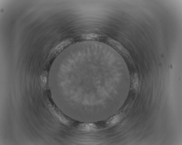 X0000083990427200703161627