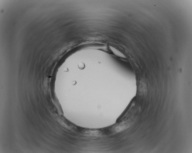 X0000083990428200703161627