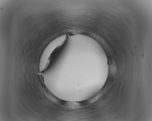 X0000083990429200703161627