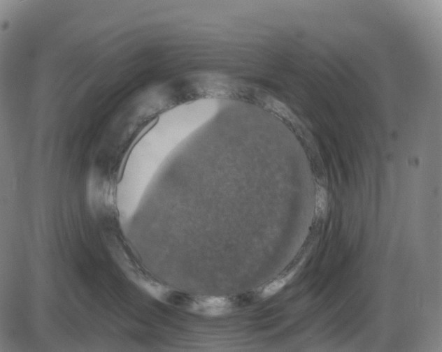 X0000083990431200703161627