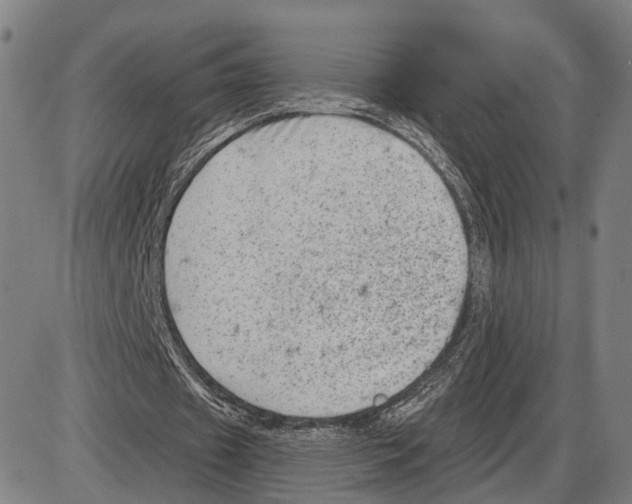 X0000083990433200703161627