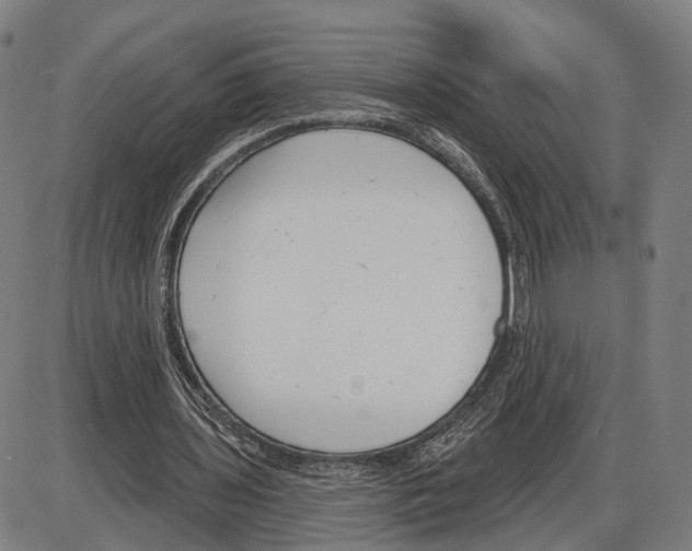 X0000083990435200703161627