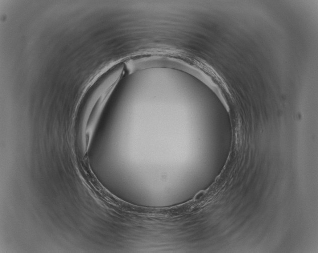 X0000083990436200703161627