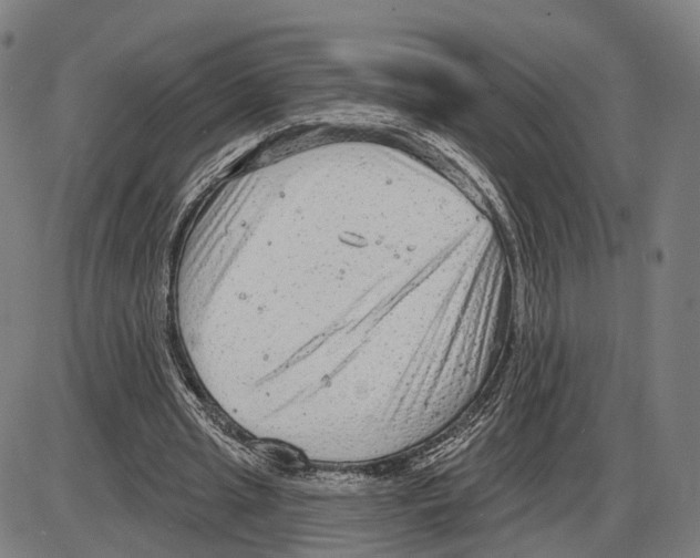 X0000083990437200703161627