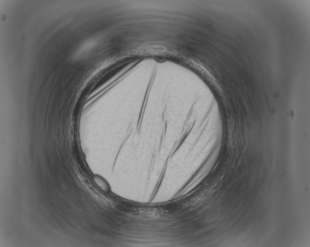 X0000083990439200703161627