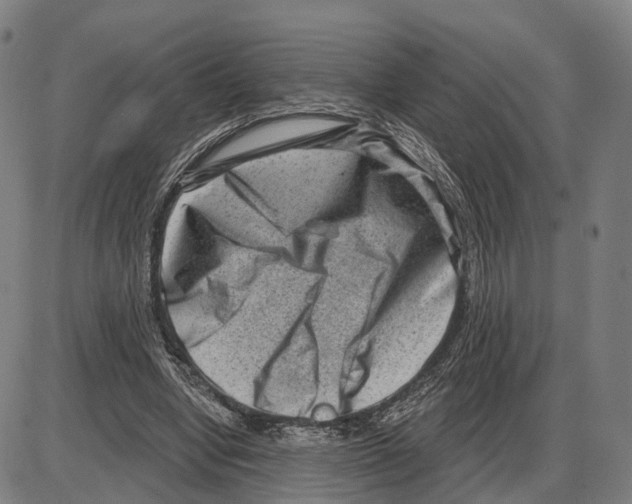 X0000083990442200703161627