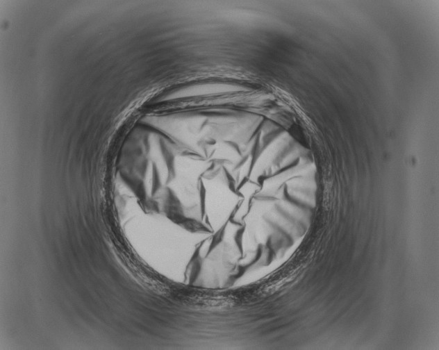 X0000083990443200703161627