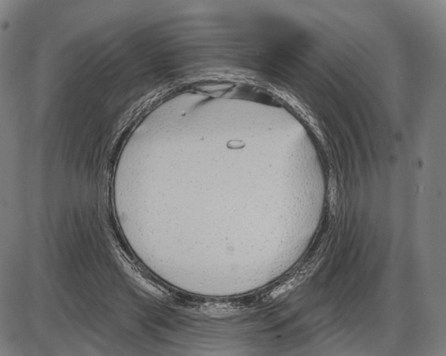 X0000083990445200703161627