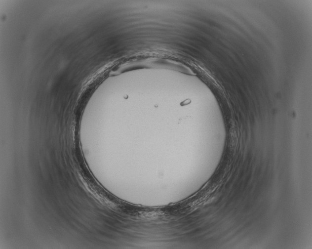 X0000083990446200703161627