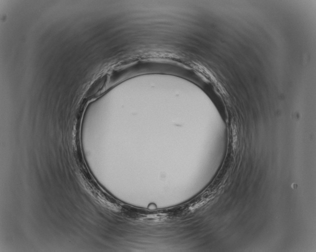 X0000083990447200703161627