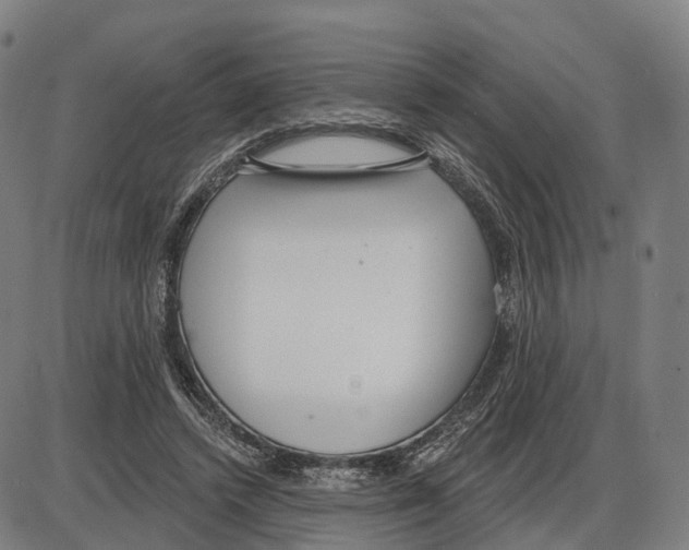 X0000083990448200703161627