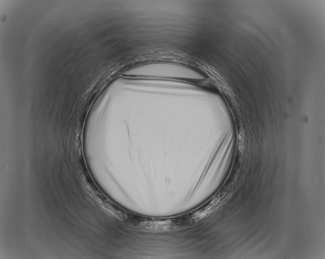 X0000083990449200703161627