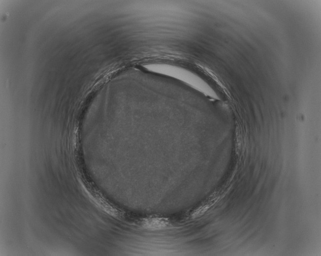 X0000083990451200703161627