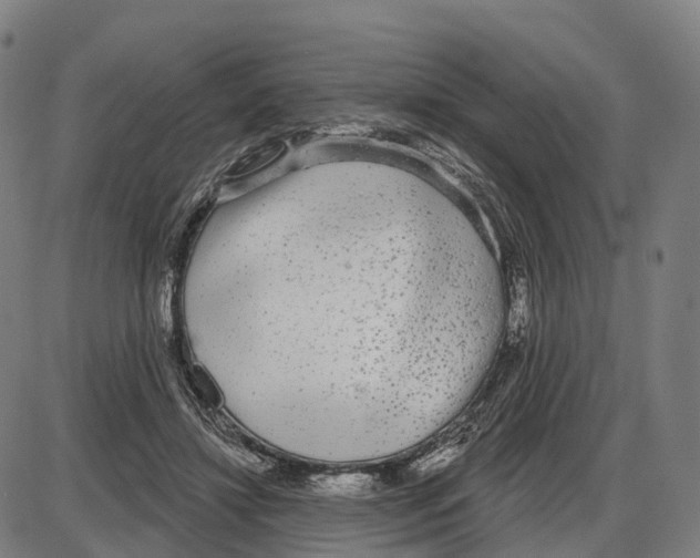 X0000083990452200703161627