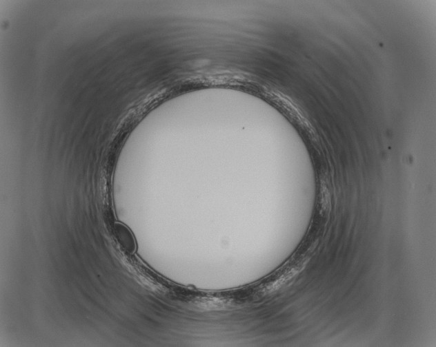 X0000083990453200703161627