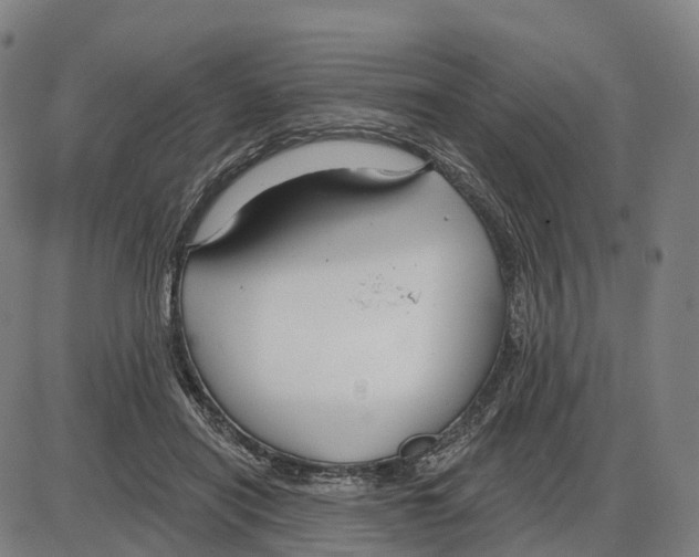 X0000083990454200703161627