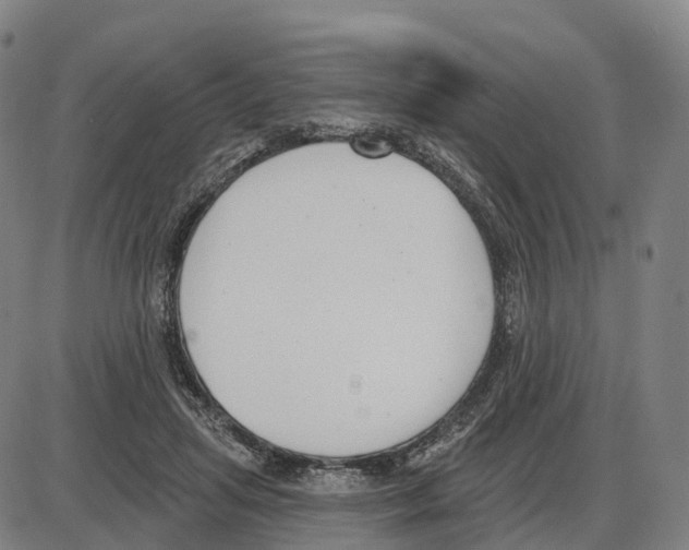 X0000083990455200703161627