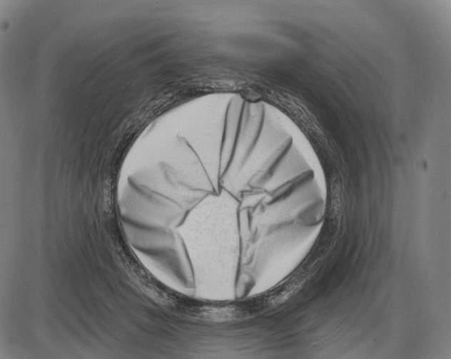 X0000083990457200703161627