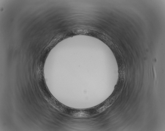 X0000083990460200703161627