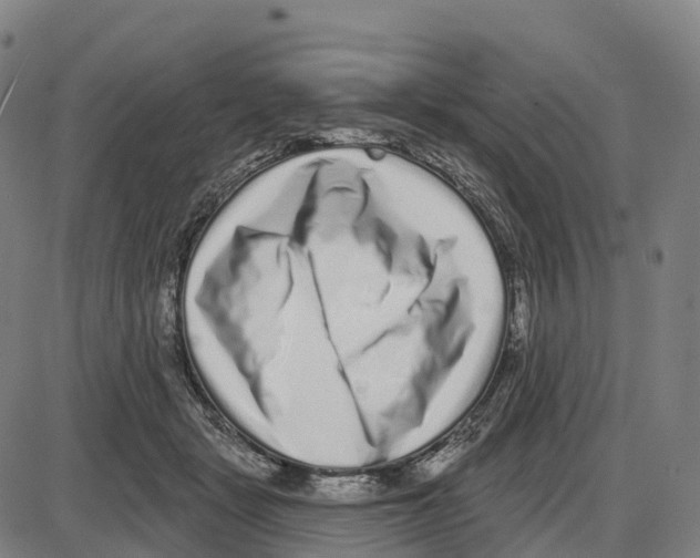 X0000083990461200703161627