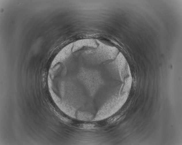 X0000083990462200703161627