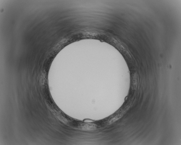 X0000083990463200703161627