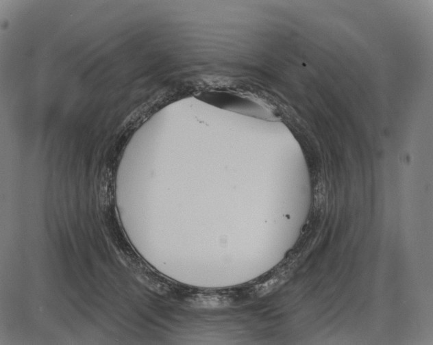 X0000083990464200703161627