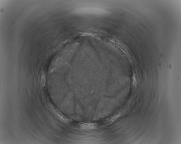 X0000083990465200703161627