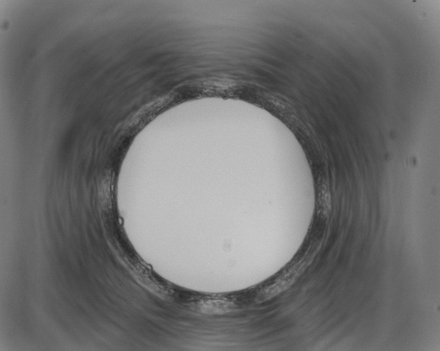 X0000083990468200703161627