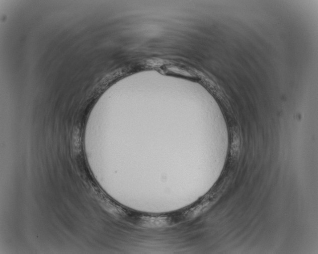 X0000083990469200703161627