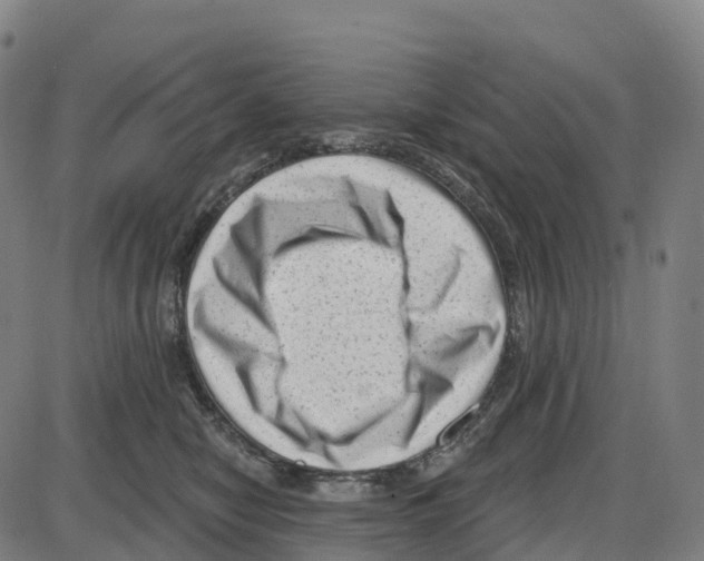 X0000083990470200703161627