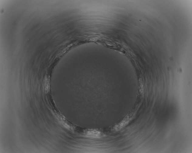 X0000083990471200703161627