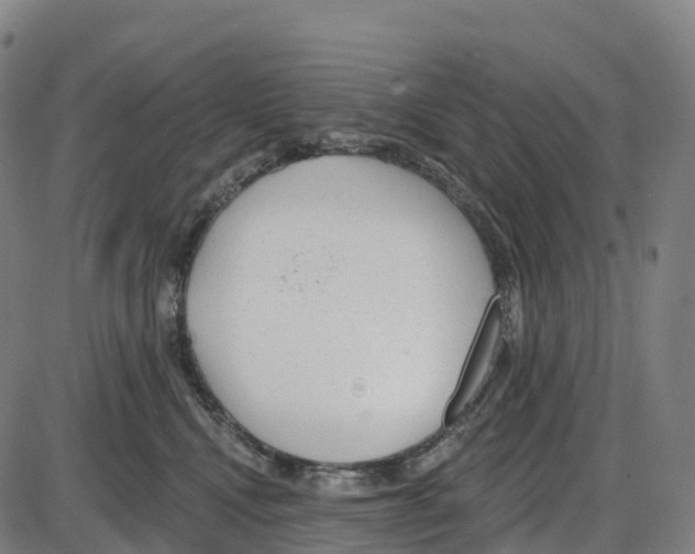 X0000083990472200703161627