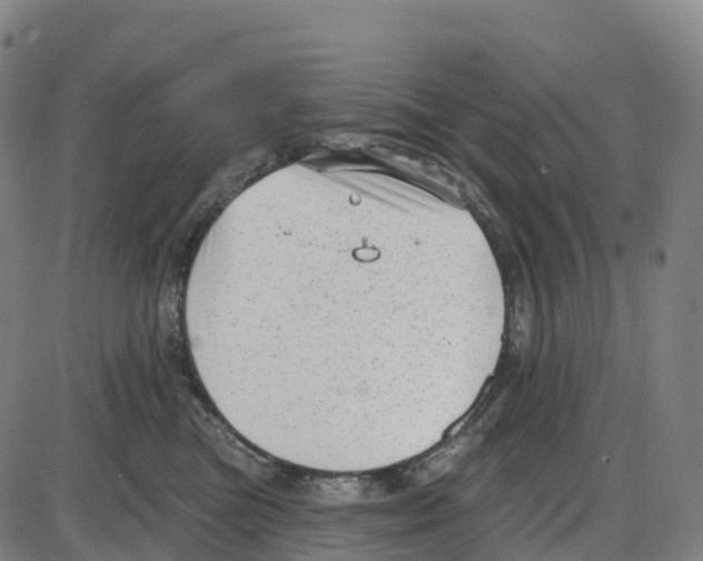 X0000083990473200703161627