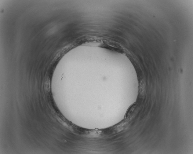 X0000083990474200703161627