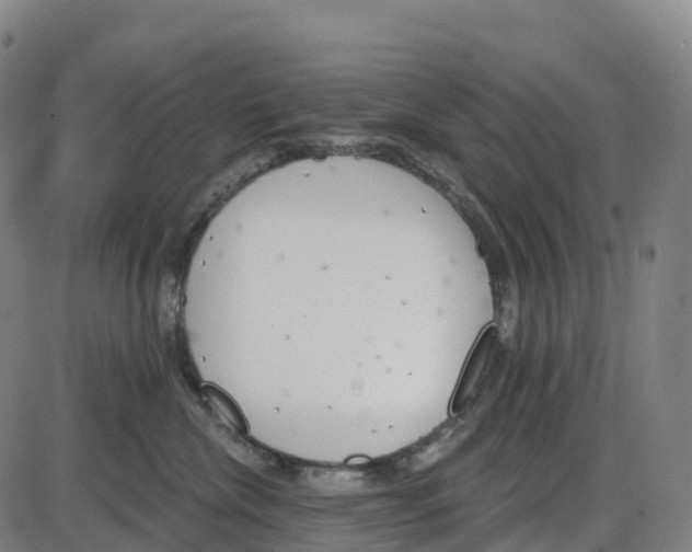 X0000083990476200703161627