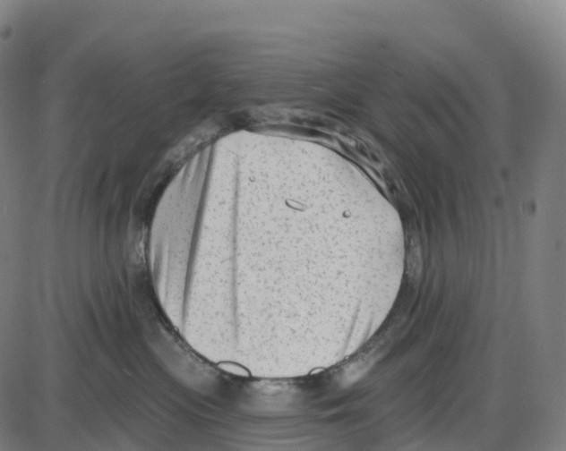 X0000083990477200703161627