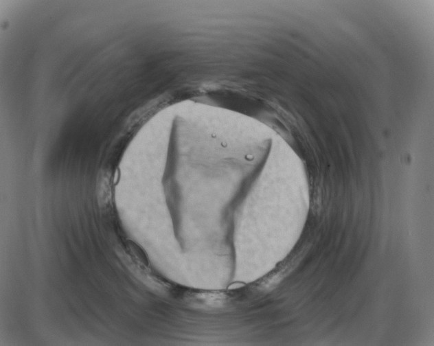 X0000083990478200703161627