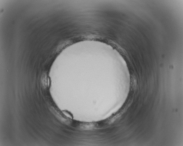 X0000083990479200703161627