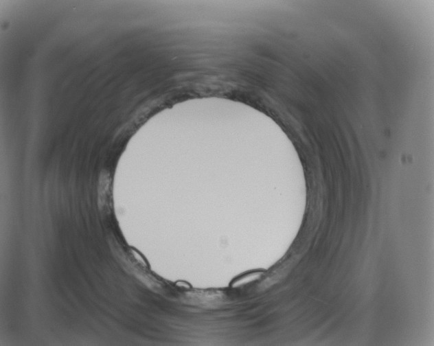 X0000083990480200703161627