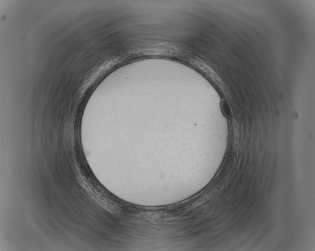 X0000083990482200703161627